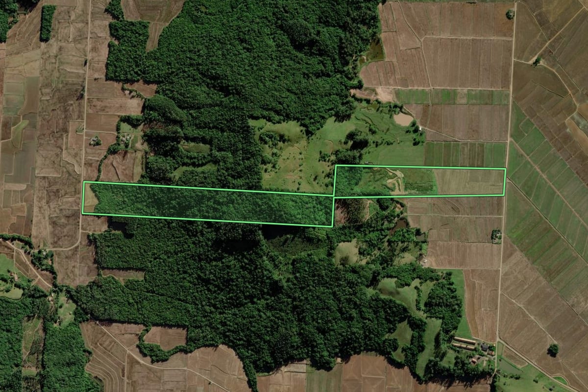 Imagem de satélite do imóvel rural em Turvo (SC), com o contorno declarado no CAR desenhado por cima.