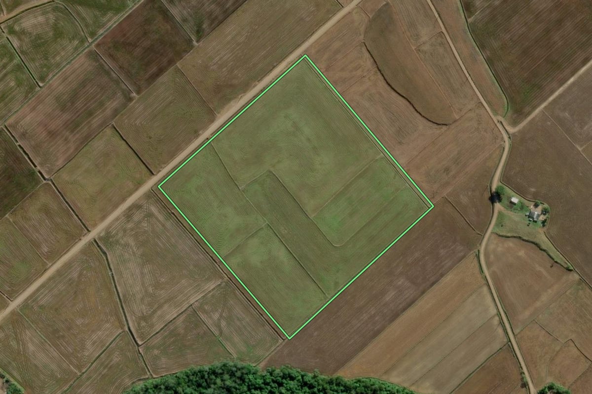 Imagem de satélite do imóvel rural em Turvo (SC), com o contorno declarado no CAR desenhado por cima.