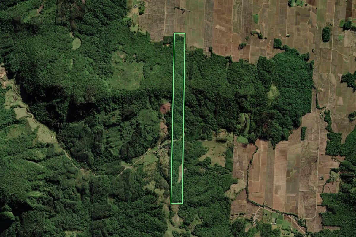 Imagem de satélite do imóvel rural em Turvo (SC), com o contorno declarado no CAR desenhado por cima.
