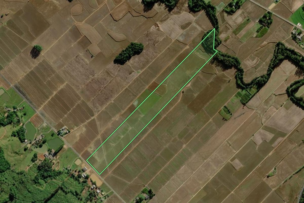 Imagem de satélite do imóvel rural em Turvo (SC), com o contorno declarado no CAR desenhado por cima.