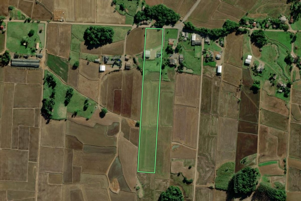 Imagem de satélite do imóvel rural em Turvo (SC), com o contorno declarado no CAR desenhado por cima.