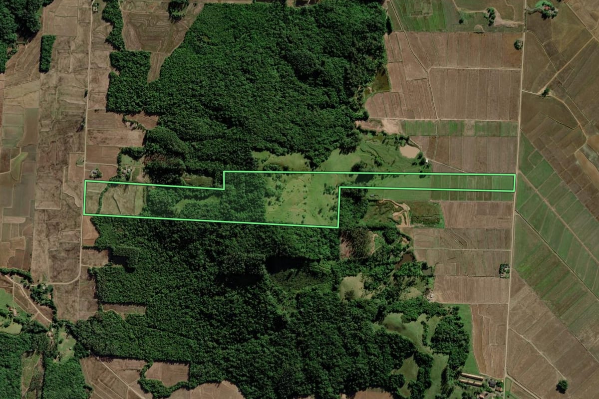Imagem de satélite do imóvel rural em Turvo (SC), com o contorno declarado no CAR desenhado por cima.