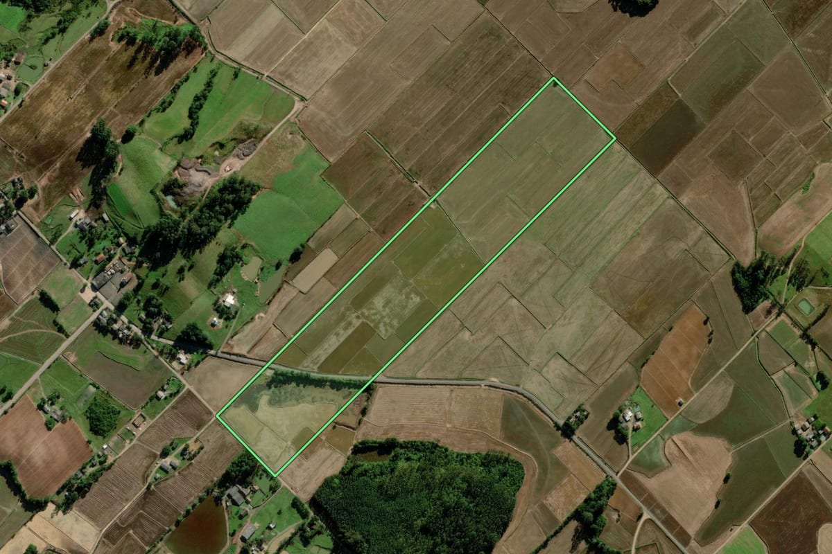 Imagem de satélite do imóvel rural em Turvo (SC), com o contorno declarado no CAR desenhado por cima.