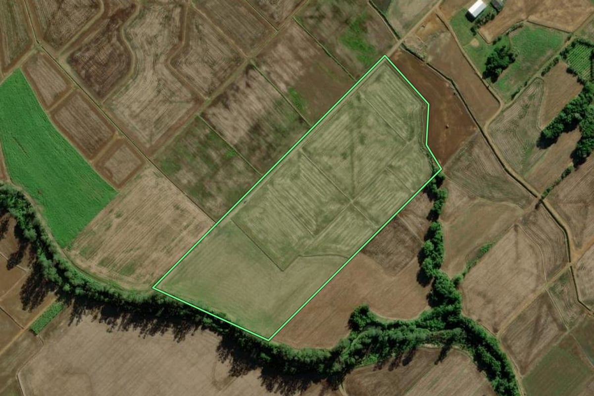 Imagem de satélite do imóvel rural em Turvo (SC), com o contorno declarado no CAR desenhado por cima.