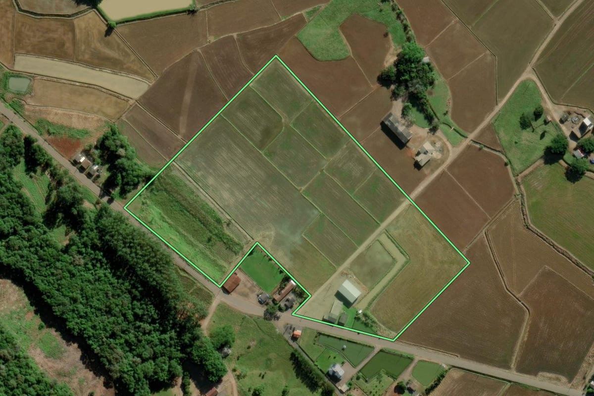 Imagem de satélite do imóvel rural em Turvo (SC), com o contorno declarado no CAR desenhado por cima.