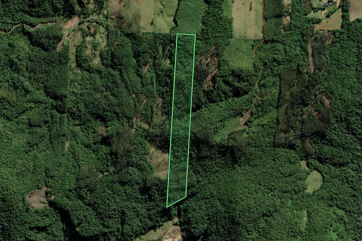 Imagem de satélite do imóvel rural em Turvo (SC), com o contorno declarado no CAR desenhado por cima.