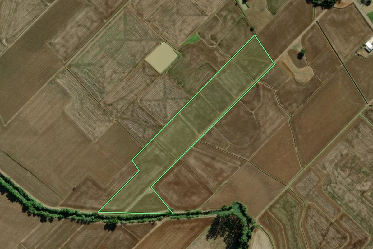 Imagem de satélite do imóvel rural em Turvo (SC), com o contorno declarado no CAR desenhado por cima.
