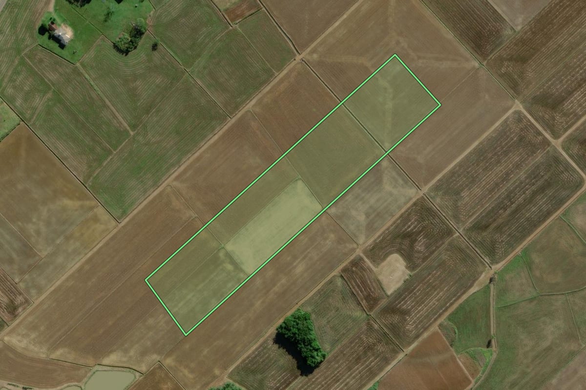 Imagem de satélite do imóvel rural em Turvo (SC), com o contorno declarado no CAR desenhado por cima.