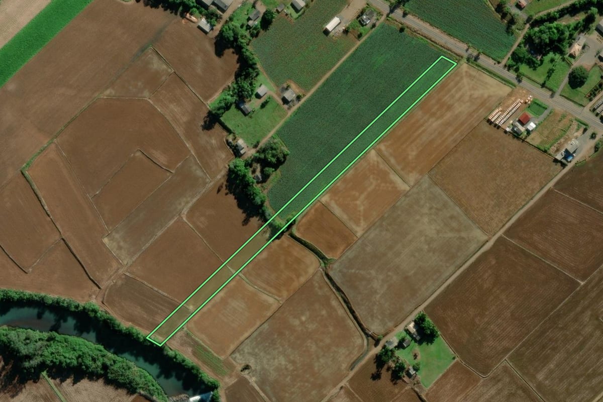 Imagem de satélite do imóvel rural em Turvo (SC), com o contorno declarado no CAR desenhado por cima.