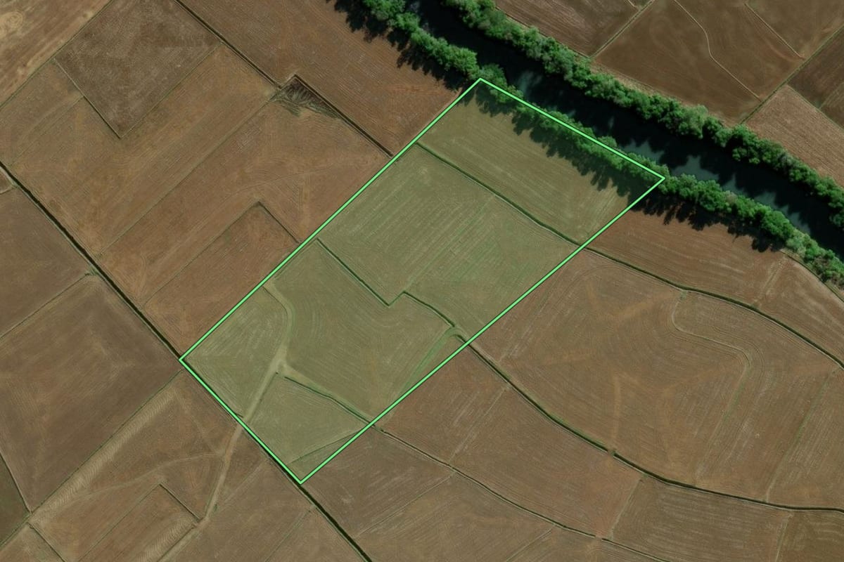 Imagem de satélite do imóvel rural em Turvo (SC), com o contorno declarado no CAR desenhado por cima.