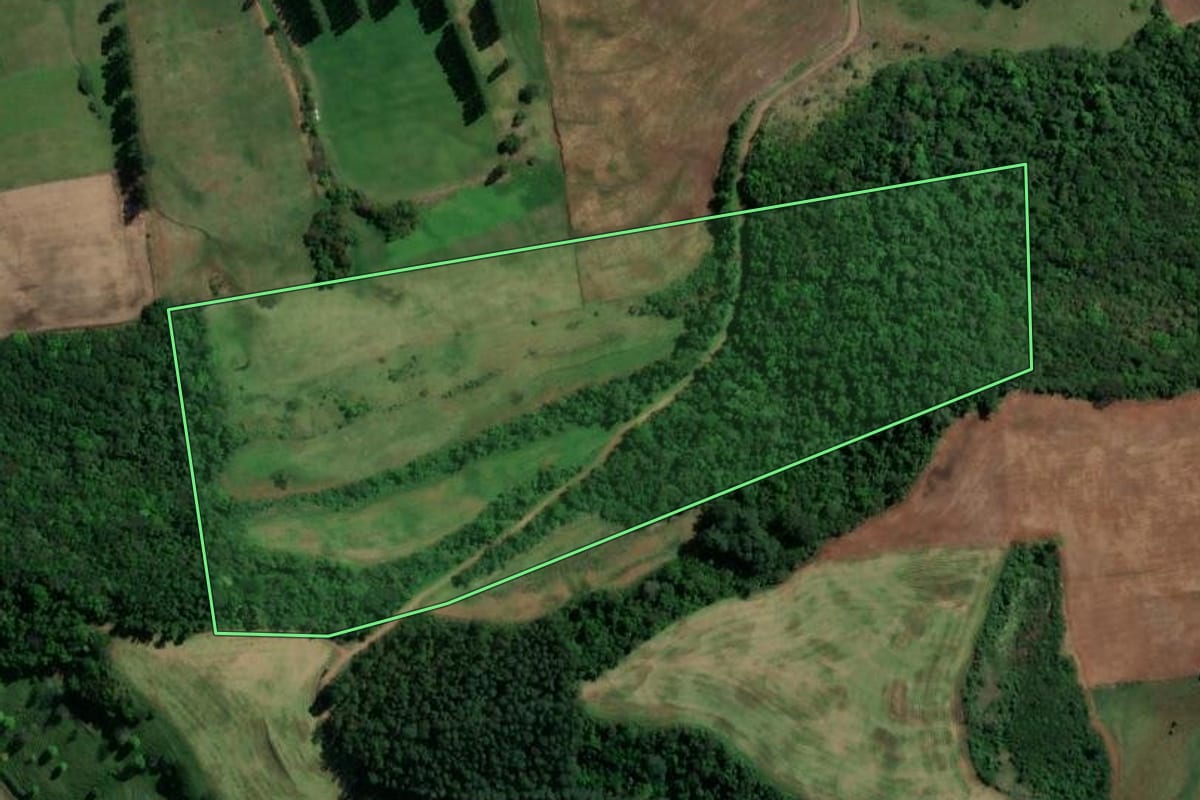 Imagem de satélite do imóvel rural em União do Oeste (SC), com o contorno declarado no CAR desenhado por cima.