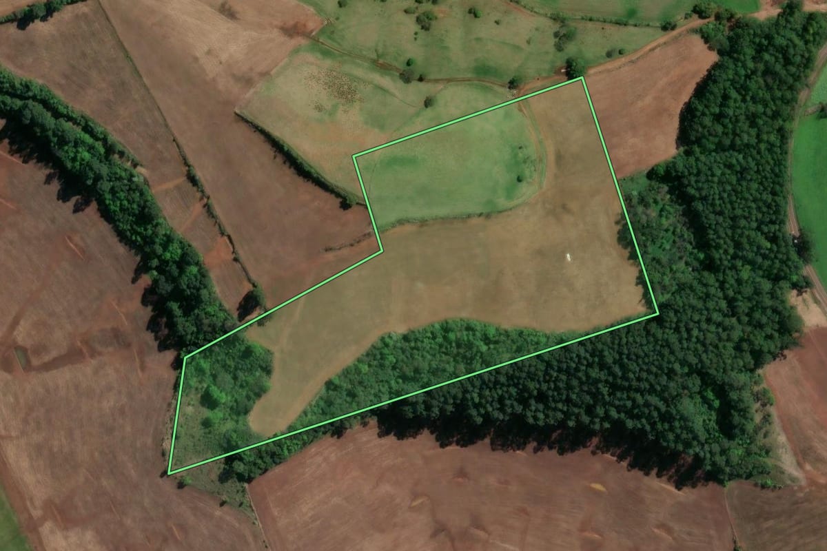 Imagem de satélite do imóvel rural em União do Oeste (SC), com o contorno declarado no CAR desenhado por cima.