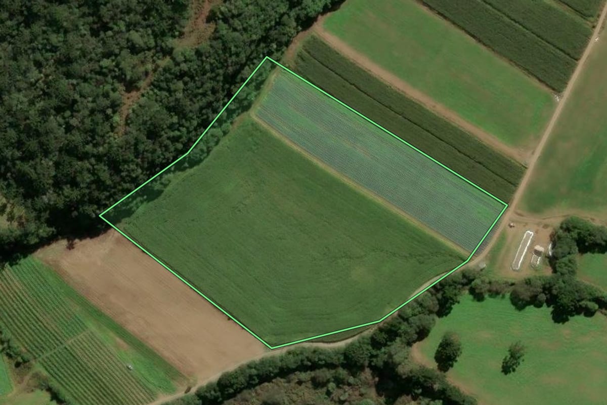 Imagem de satélite do imóvel rural em Urubici (SC), com o contorno declarado no CAR desenhado por cima.