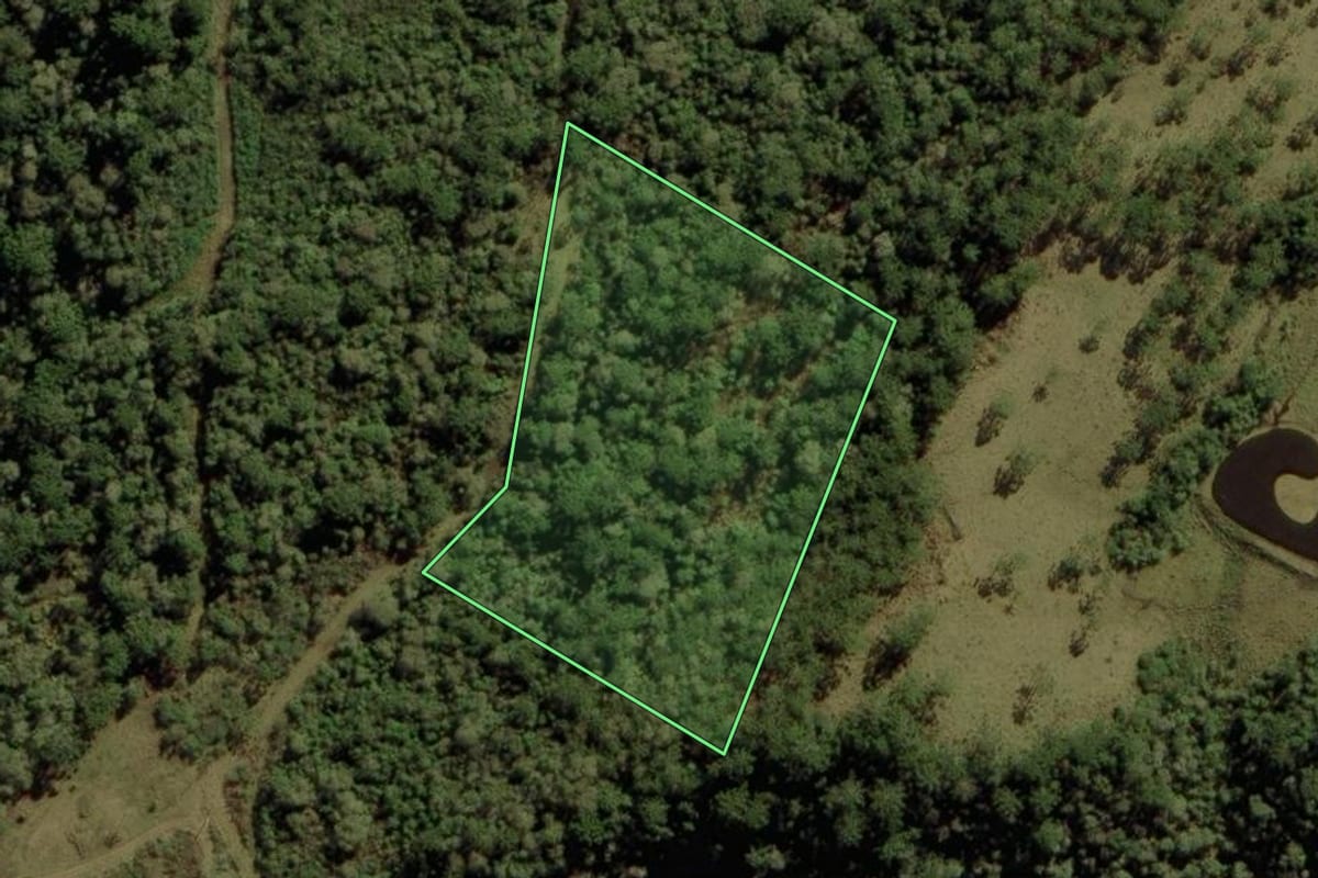 Imagem de satélite do imóvel rural em Urubici (SC), com o contorno declarado no CAR desenhado por cima.