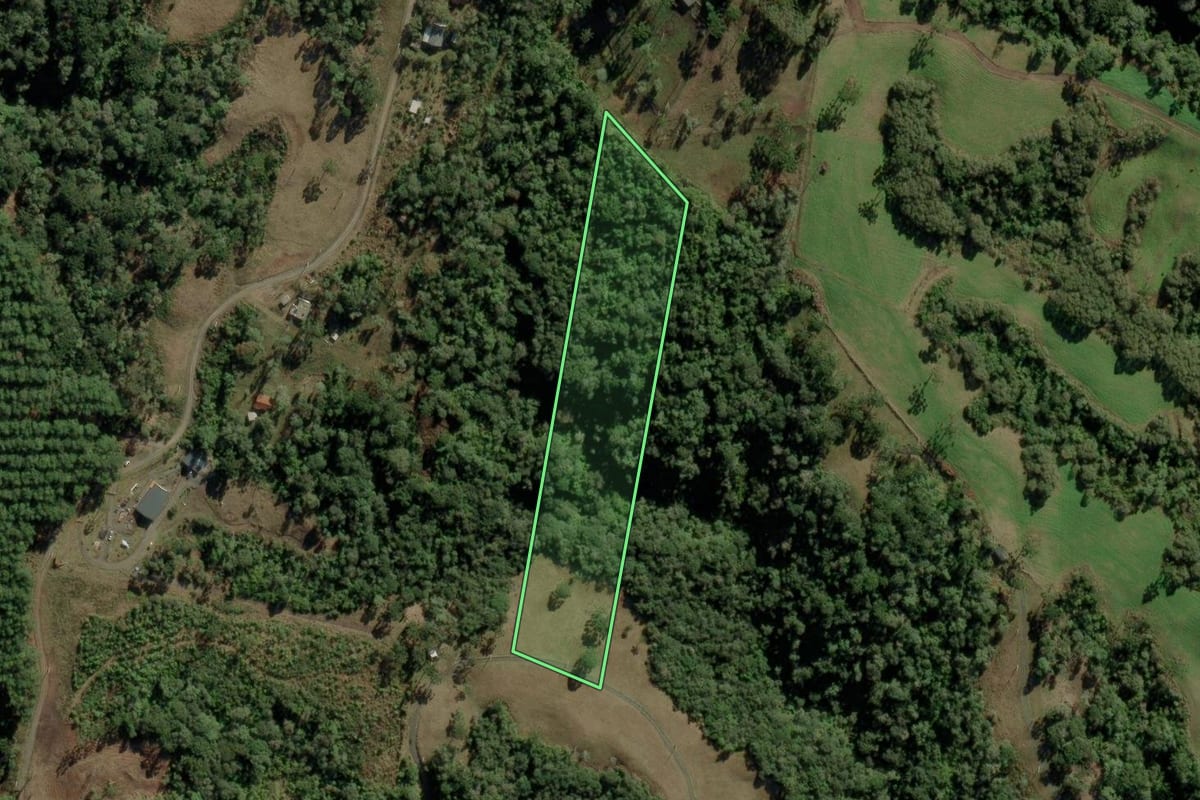 Imagem de satélite do imóvel rural em Urubici (SC), com o contorno declarado no CAR desenhado por cima.