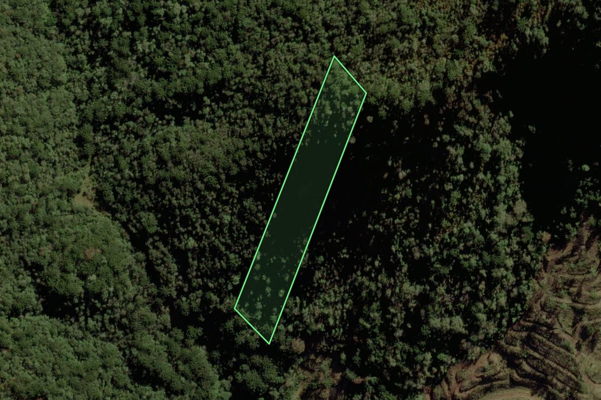 Imagem de satélite do imóvel rural em Urubici (SC), com o contorno declarado no CAR desenhado por cima.