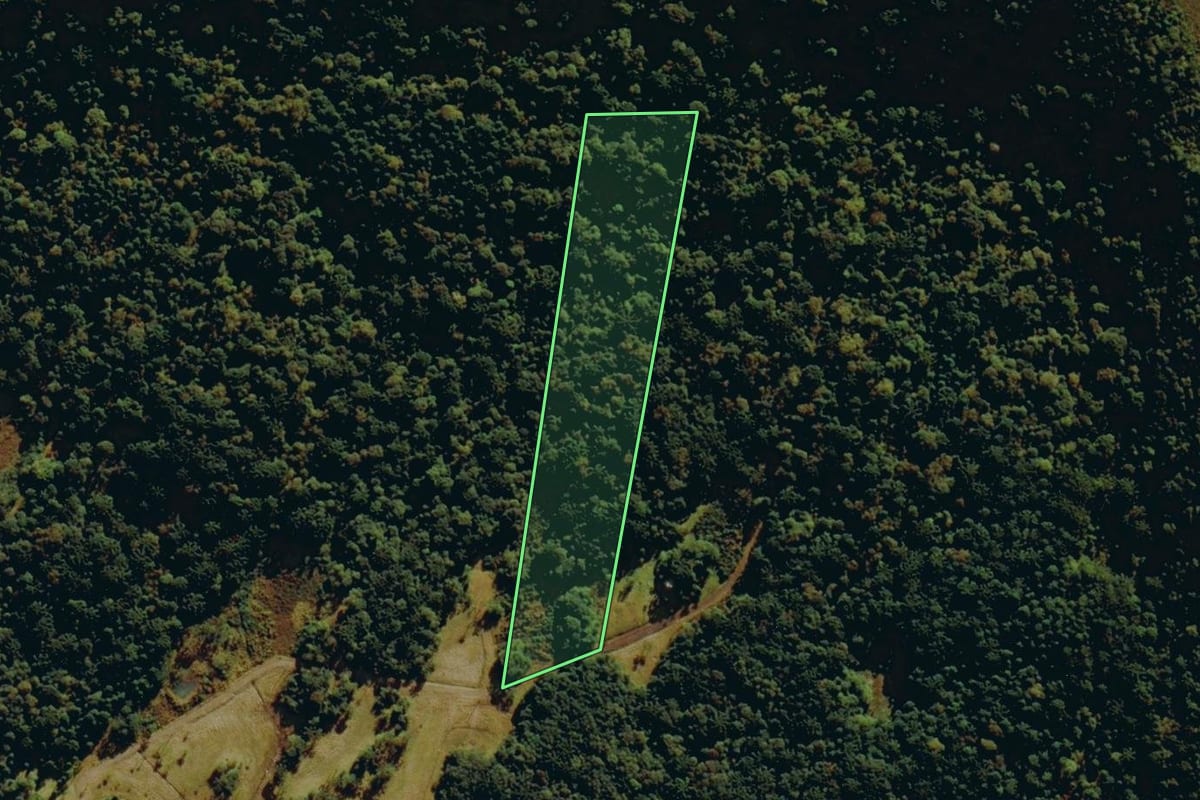 Imagem de satélite do imóvel rural em Urubici (SC), com o contorno declarado no CAR desenhado por cima.