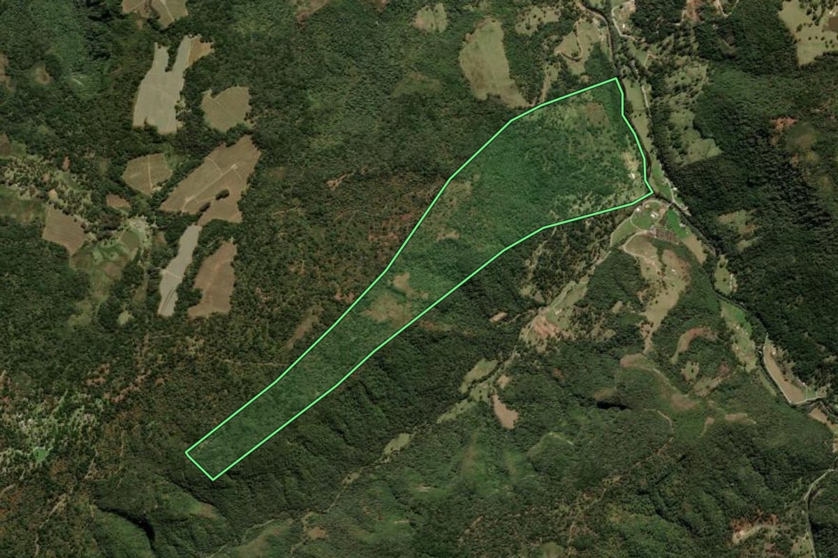 Imagem de satélite do imóvel rural em Urubici (SC), com o contorno declarado no CAR desenhado por cima.