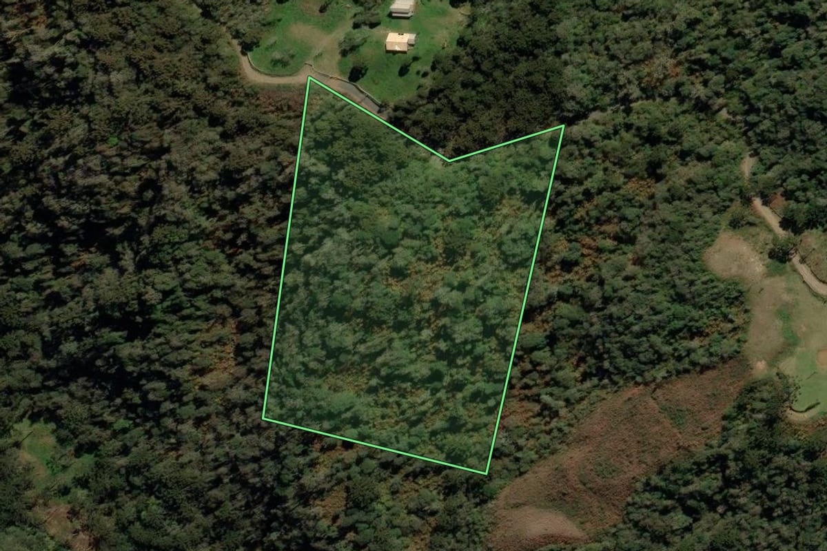 Imagem de satélite do imóvel rural em Urubici (SC), com o contorno declarado no CAR desenhado por cima.