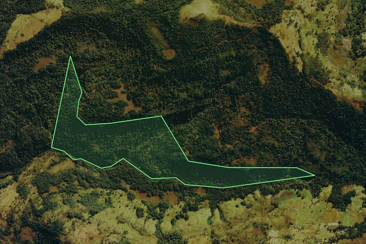 Imagem de satélite do imóvel rural em Urubici (SC), com o contorno declarado no CAR desenhado por cima.