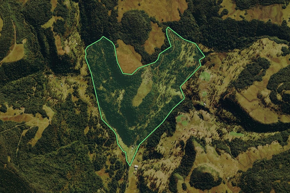 Imagem de satélite do imóvel rural em Urubici (SC), com o contorno declarado no CAR desenhado por cima.