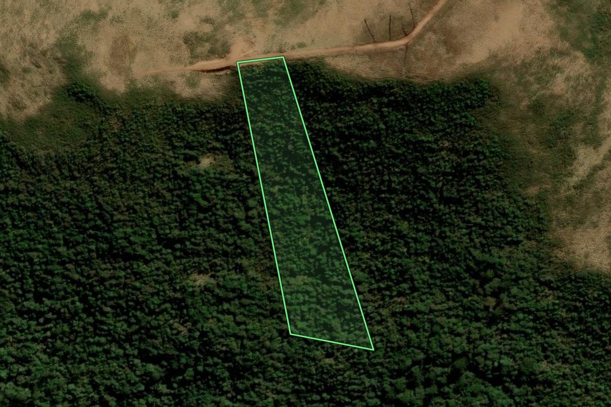 Imagem de satélite do imóvel rural em Urubici (SC), com o contorno declarado no CAR desenhado por cima.