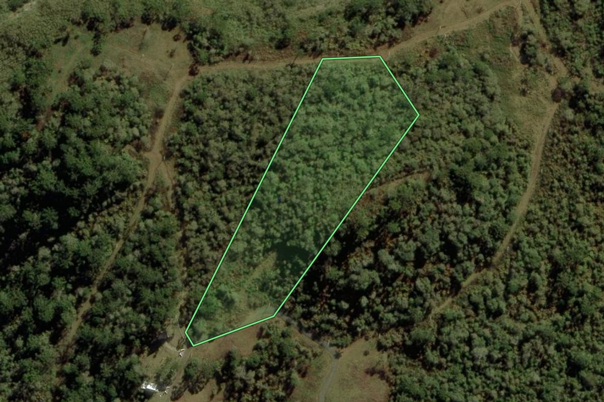 Imagem de satélite do imóvel rural em Urubici (SC), com o contorno declarado no CAR desenhado por cima.