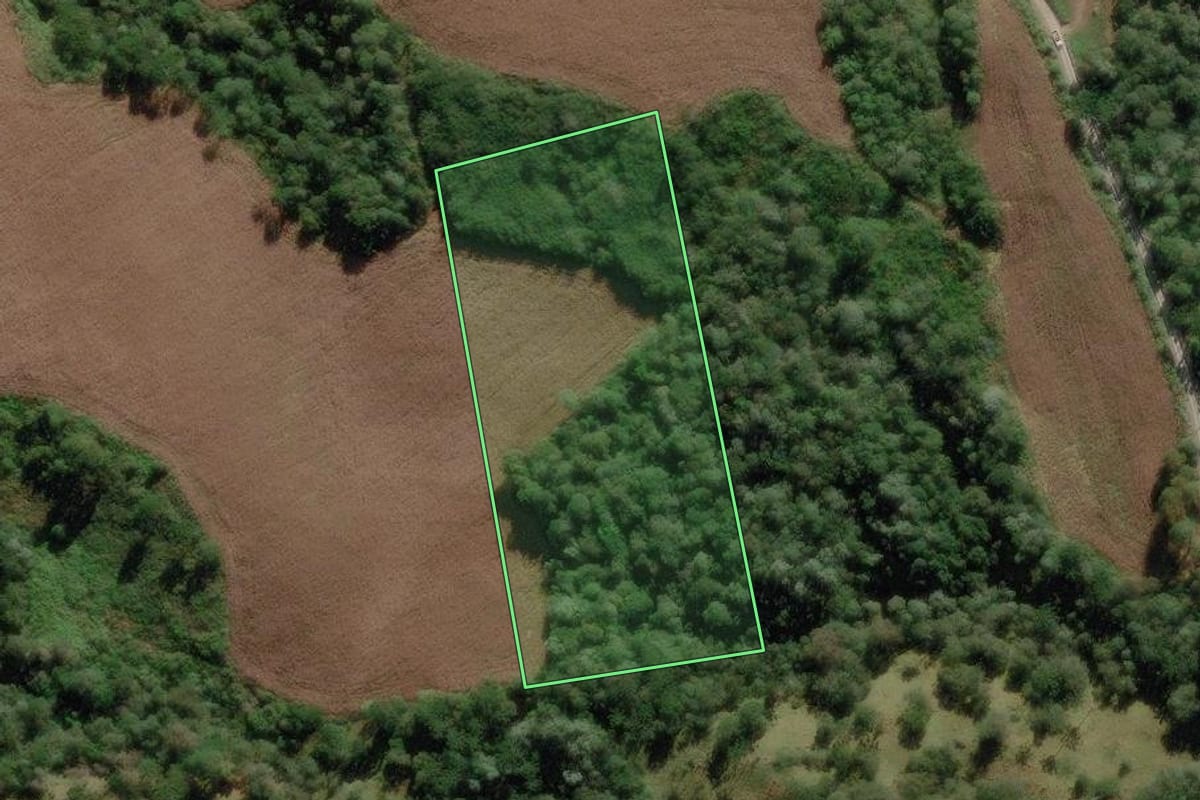 Imagem de satélite do imóvel rural em Urubici (SC), com o contorno declarado no CAR desenhado por cima.