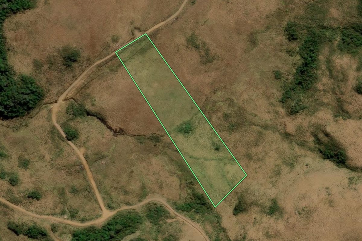 Imagem de satélite do imóvel rural em Urubici (SC), com o contorno declarado no CAR desenhado por cima.