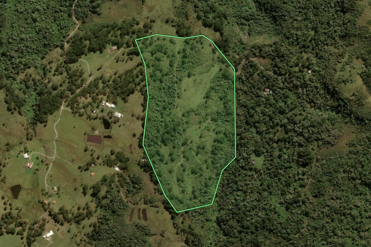 Imagem de satélite do imóvel rural em Urubici (SC), com o contorno declarado no CAR desenhado por cima.