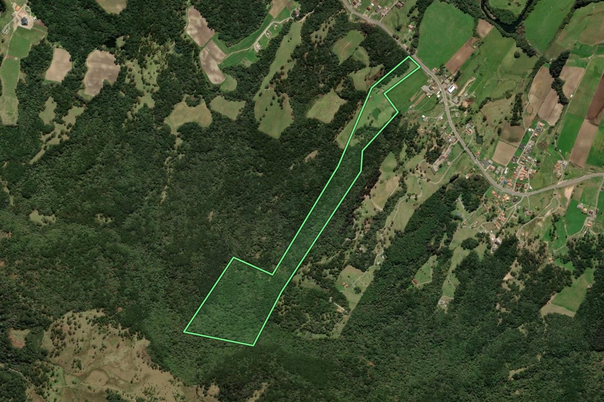 Imagem de satélite do imóvel rural em Urubici (SC), com o contorno declarado no CAR desenhado por cima.
