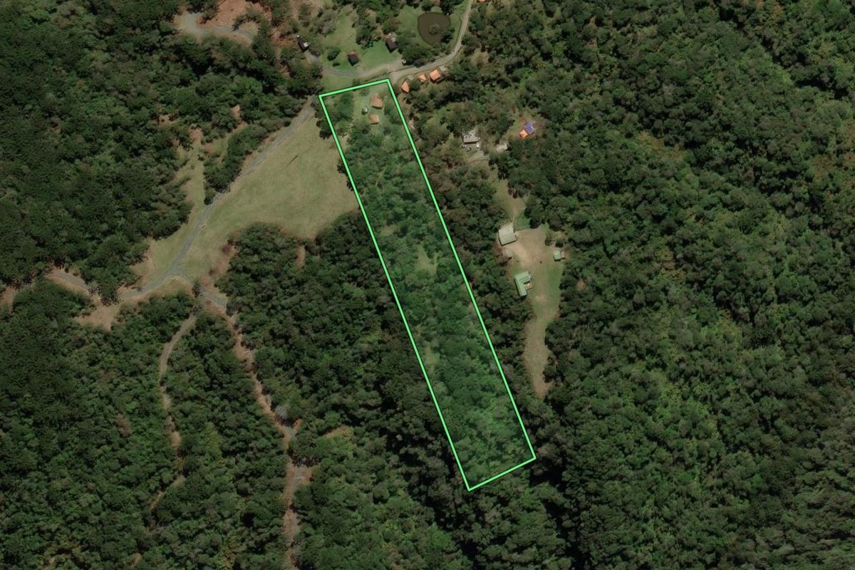 Imagem de satélite do imóvel rural em Urubici (SC), com o contorno declarado no CAR desenhado por cima.