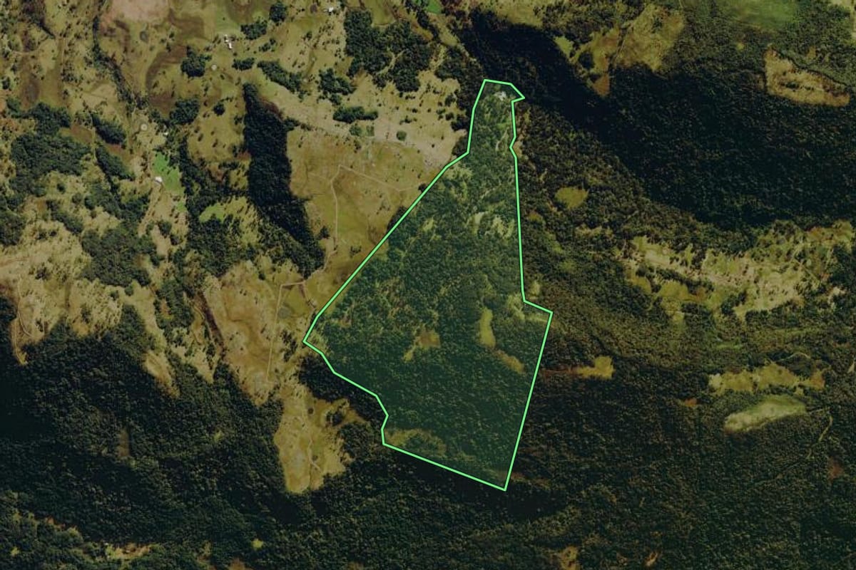 Imagem de satélite do imóvel rural em Urubici (SC), com o contorno declarado no CAR desenhado por cima.