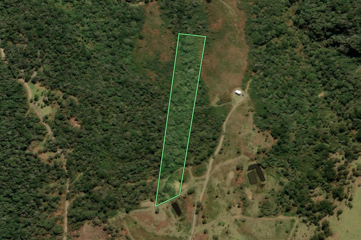 Imagem de satélite do imóvel rural em Urubici (SC), com o contorno declarado no CAR desenhado por cima.