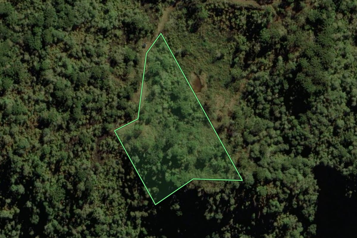 Imagem de satélite do imóvel rural em Urubici (SC), com o contorno declarado no CAR desenhado por cima.
