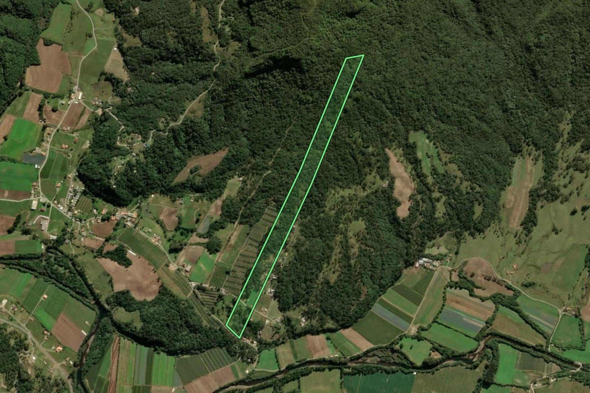 Imagem de satélite do imóvel rural em Urubici (SC), com o contorno declarado no CAR desenhado por cima.