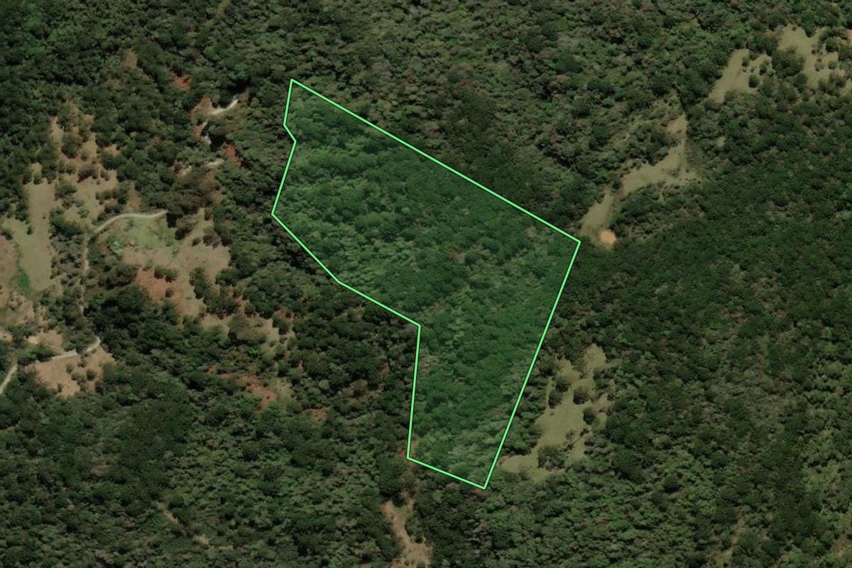 Imagem de satélite do imóvel rural em Urubici (SC), com o contorno declarado no CAR desenhado por cima.