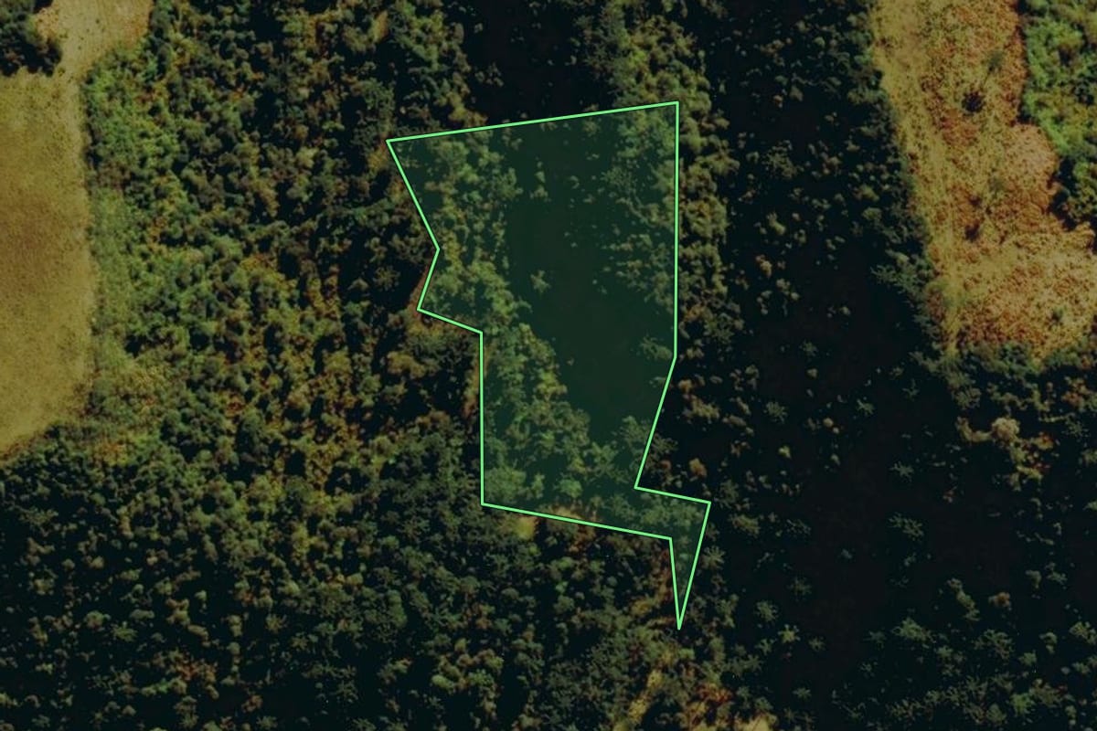 Imagem de satélite do imóvel rural em Urubici (SC), com o contorno declarado no CAR desenhado por cima.