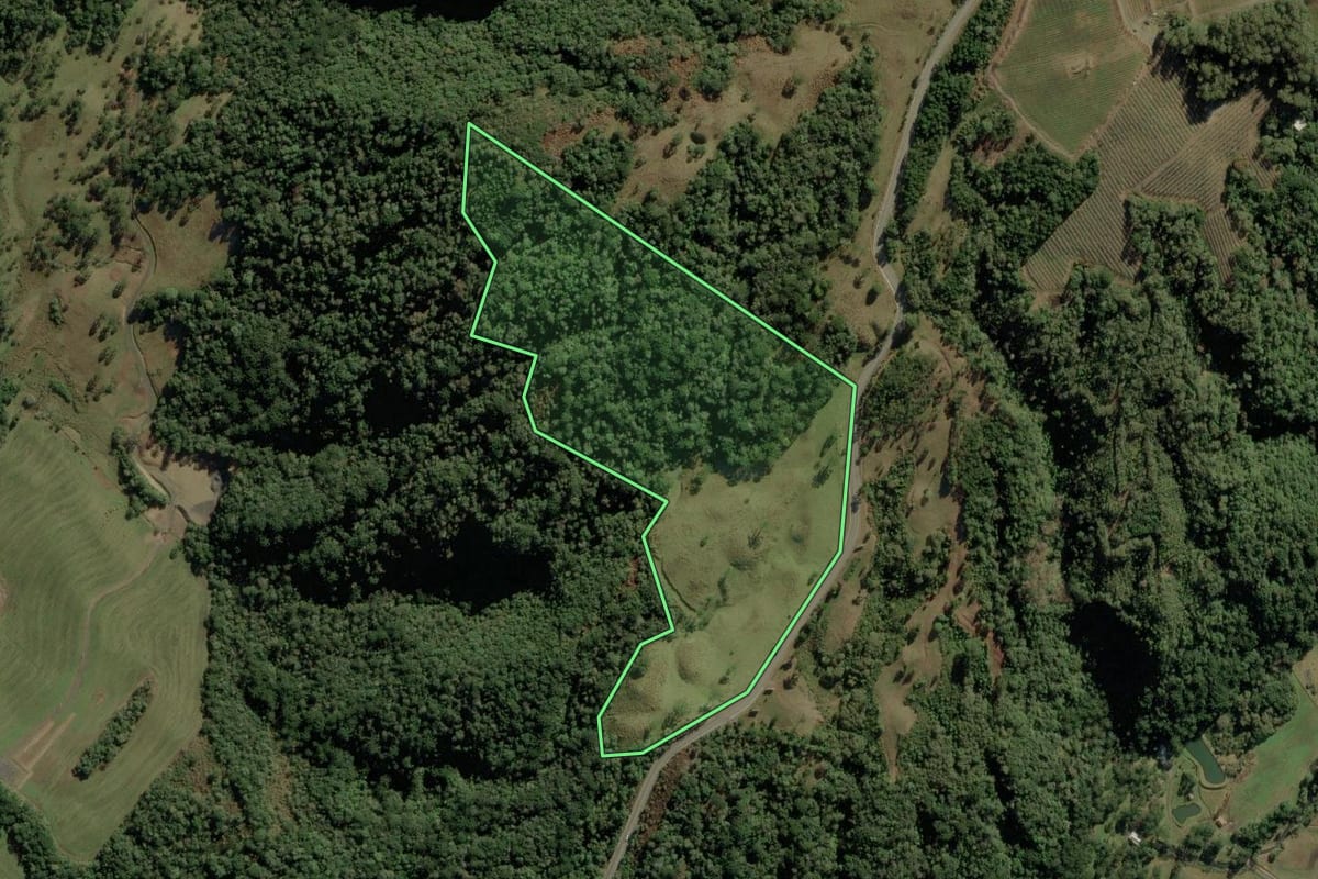 Imagem de satélite do imóvel rural em Urubici (SC), com o contorno declarado no CAR desenhado por cima.