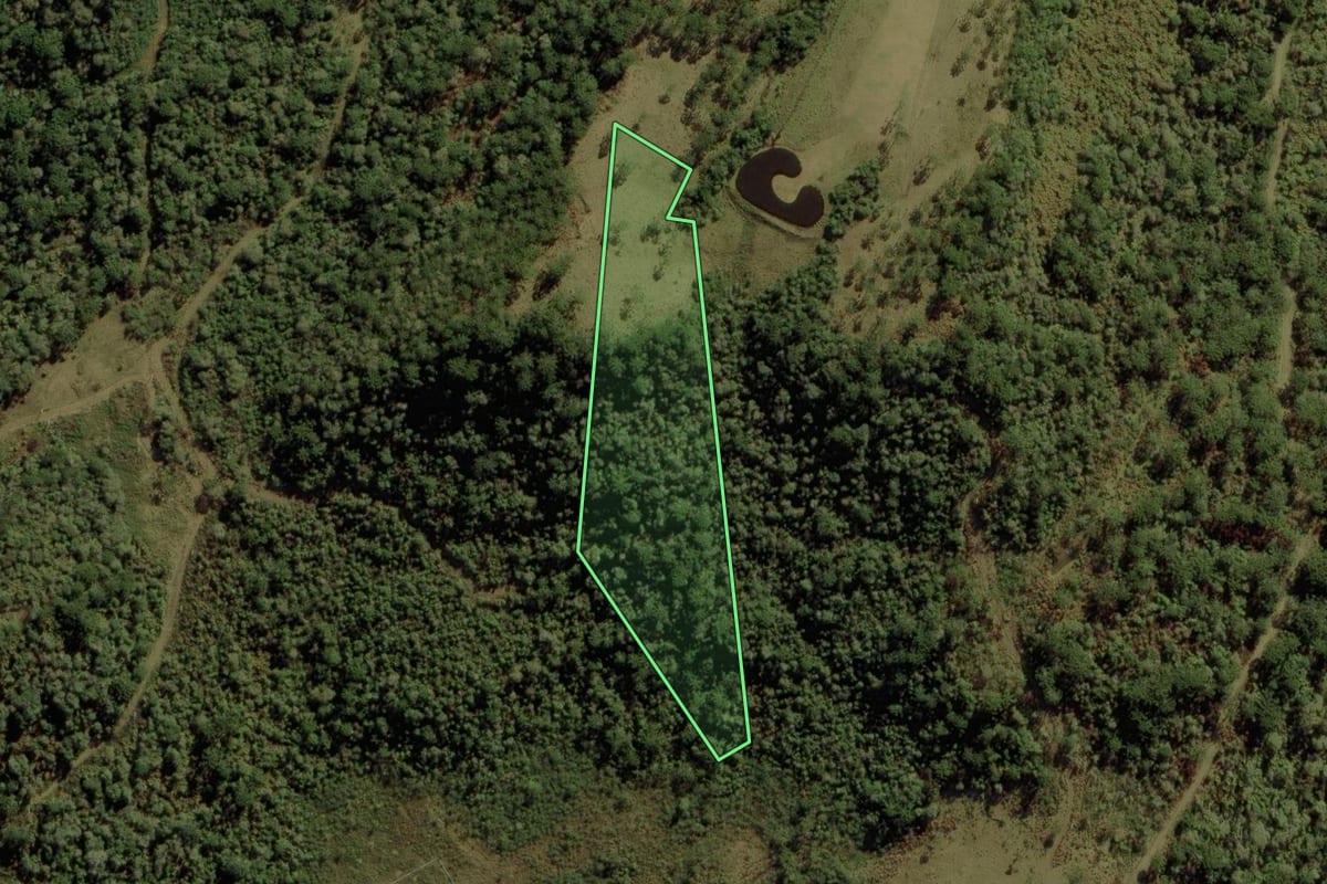 Imagem de satélite do imóvel rural em Urubici (SC), com o contorno declarado no CAR desenhado por cima.