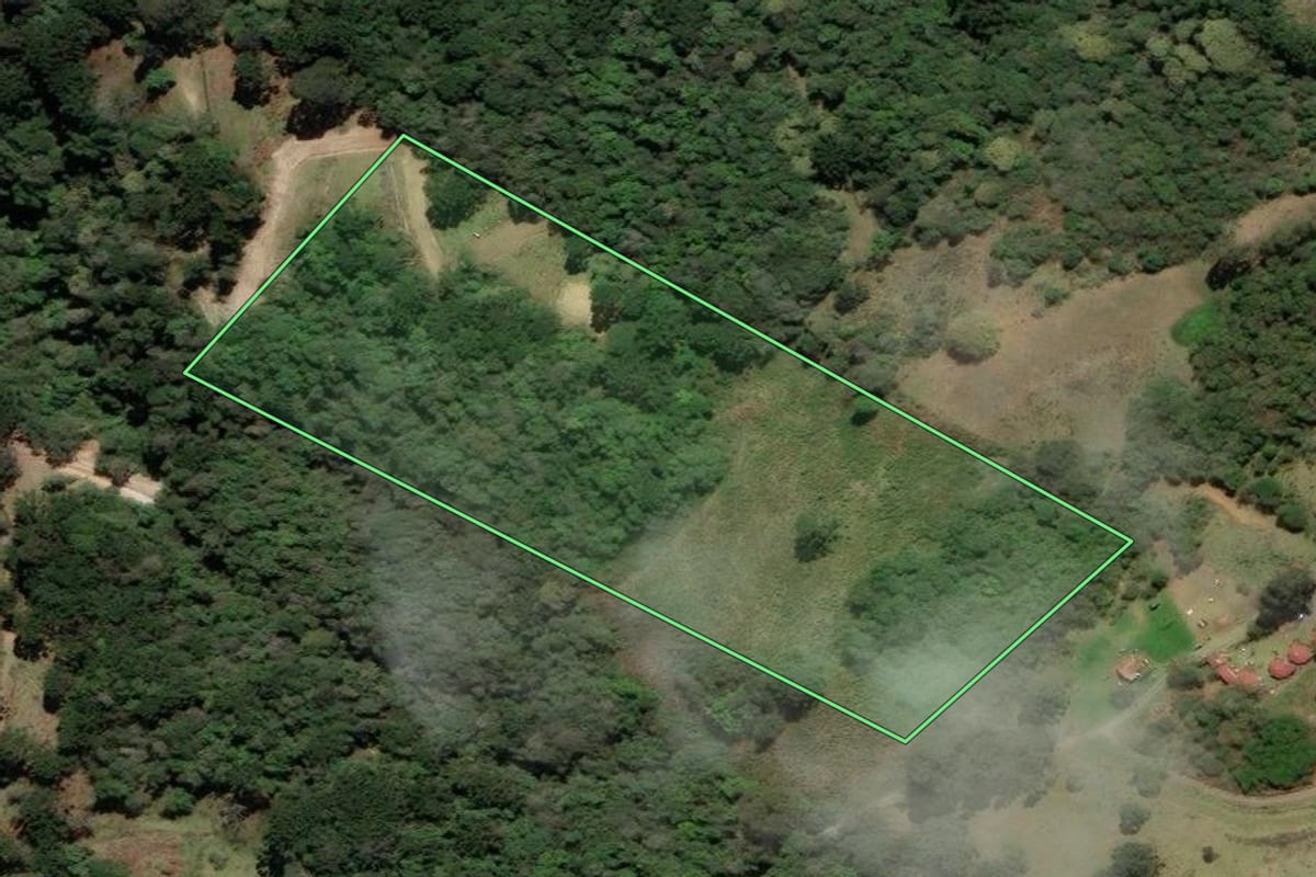 Imagem de satélite do imóvel rural em Urubici (SC), com o contorno declarado no CAR desenhado por cima.