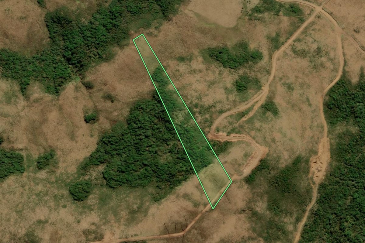 Imagem de satélite do imóvel rural em Urubici (SC), com o contorno declarado no CAR desenhado por cima.