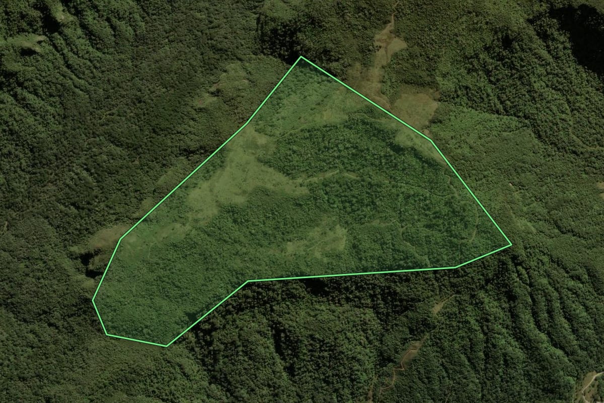 Imagem de satélite do imóvel rural em Urubici (SC), com o contorno declarado no CAR desenhado por cima.