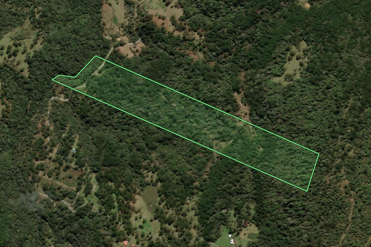 Imagem de satélite do imóvel rural em Urubici (SC), com o contorno declarado no CAR desenhado por cima.