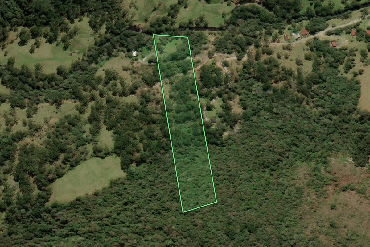 Imagem de satélite do imóvel rural em Urubici (SC), com o contorno declarado no CAR desenhado por cima.