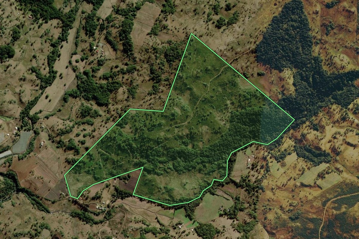 Imagem de satélite do imóvel rural em Urubici (SC), com o contorno declarado no CAR desenhado por cima.