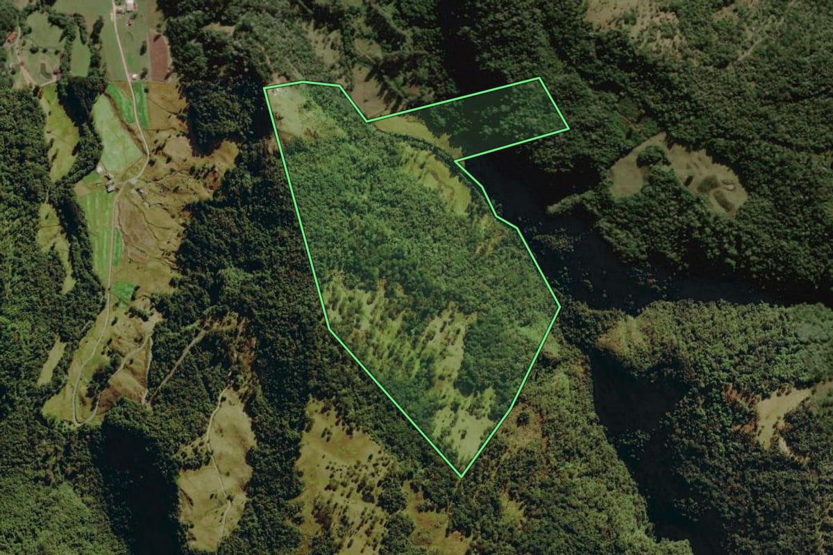 Imagem de satélite do imóvel rural em Urubici (SC), com o contorno declarado no CAR desenhado por cima.
