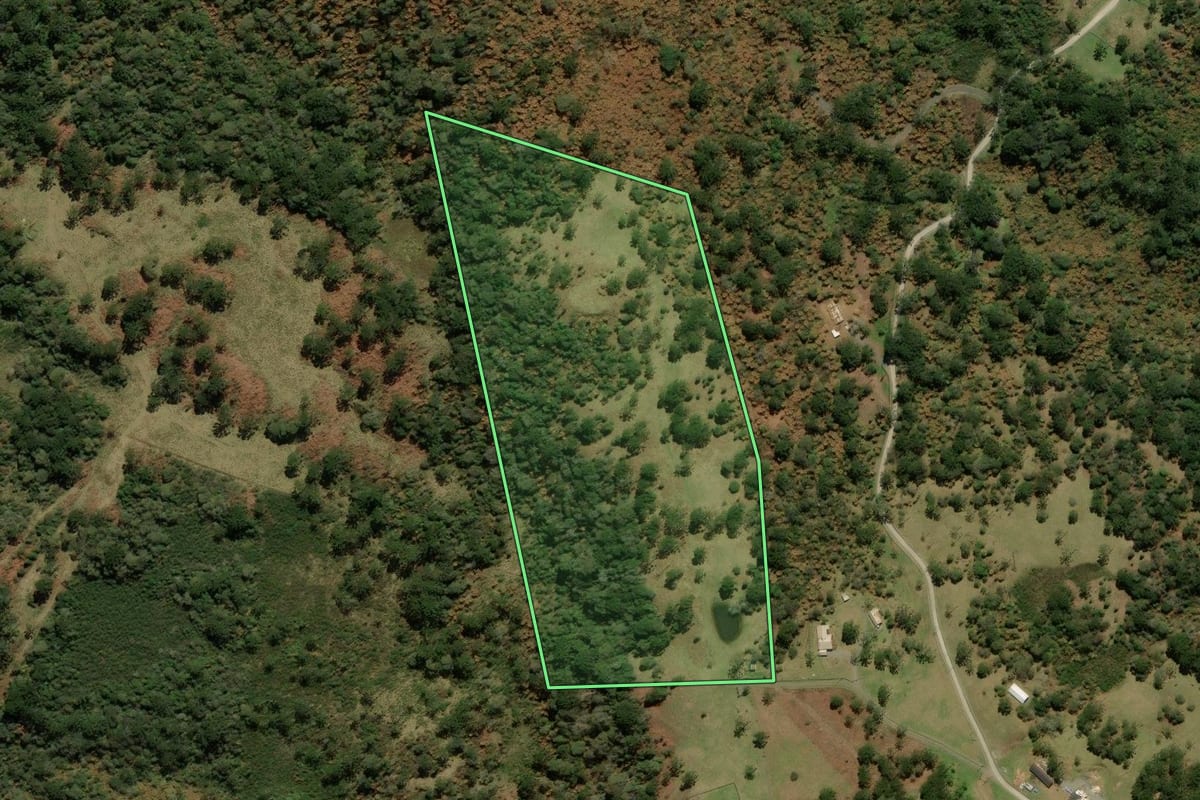 Imagem de satélite do imóvel rural em Urubici (SC), com o contorno declarado no CAR desenhado por cima.