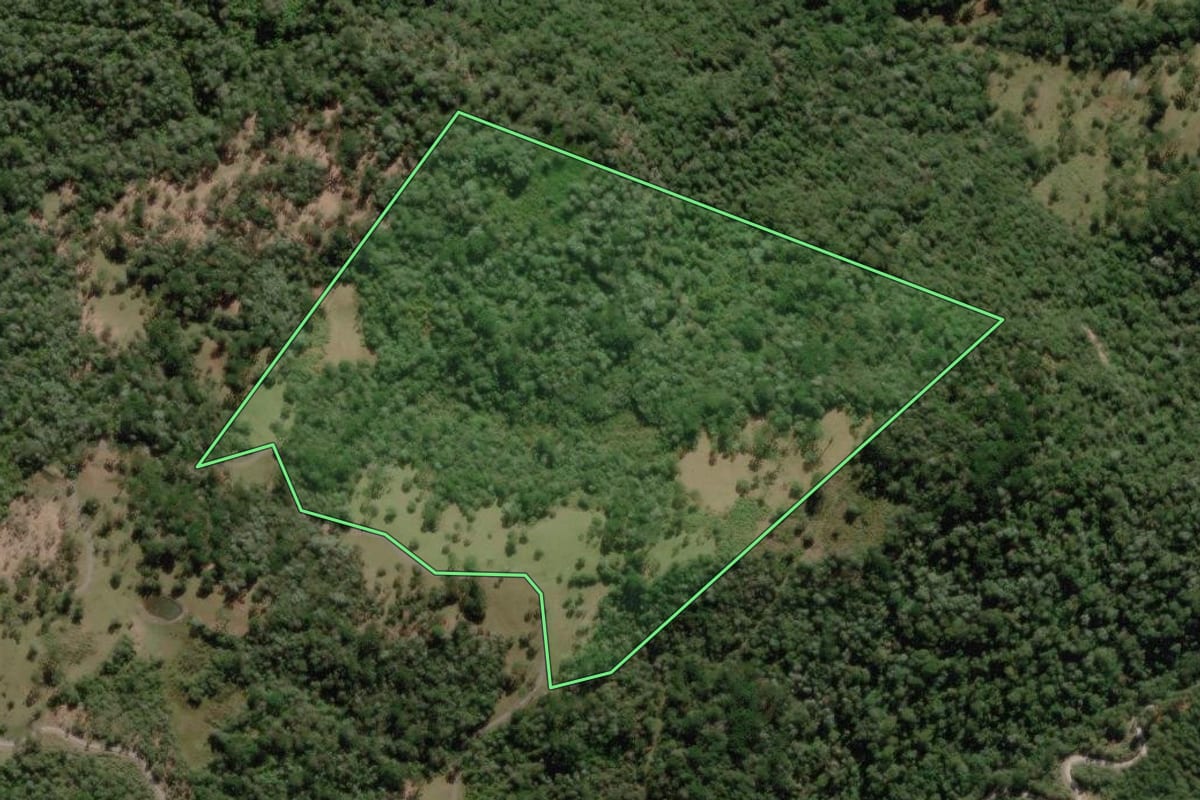 Imagem de satélite do imóvel rural em Urubici (SC), com o contorno declarado no CAR desenhado por cima.
