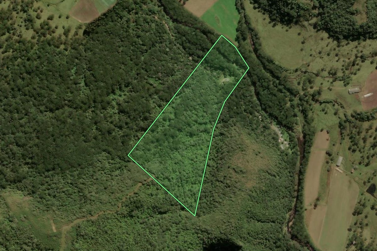 Imagem de satélite do imóvel rural em Urubici (SC), com o contorno declarado no CAR desenhado por cima.